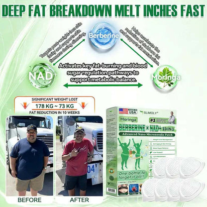 🔥 Achieve Visible Results in Just 7 Days! 🔥 Slimoly® 10-in-1 Advanced Nano Microneedle Patch – Moringa · Berberine × NAD+ Formula for Weight Loss, Skin Tightening, Diabetes & More! 🇺🇸 Use Once Daily for Fast Transformation💪