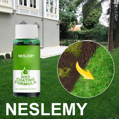 🔥Last Day Promotion🌱Hydro Seeding Lawn Solution