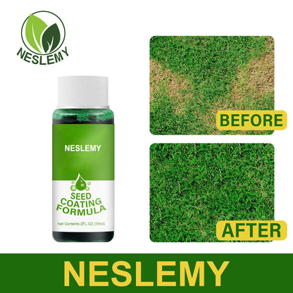 🔥Last Day Promotion🌱Hydro Seeding Lawn Solution