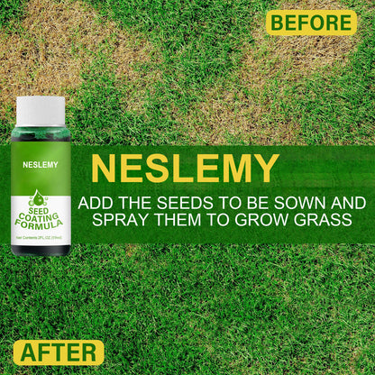🔥Last Day Promotion🌱Hydro Seeding Lawn Solution