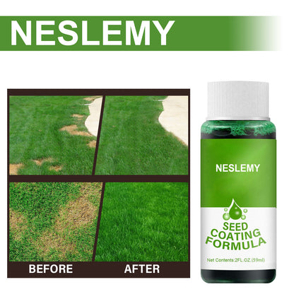 🔥Last Day Promotion🌱Hydro Seeding Lawn Solution