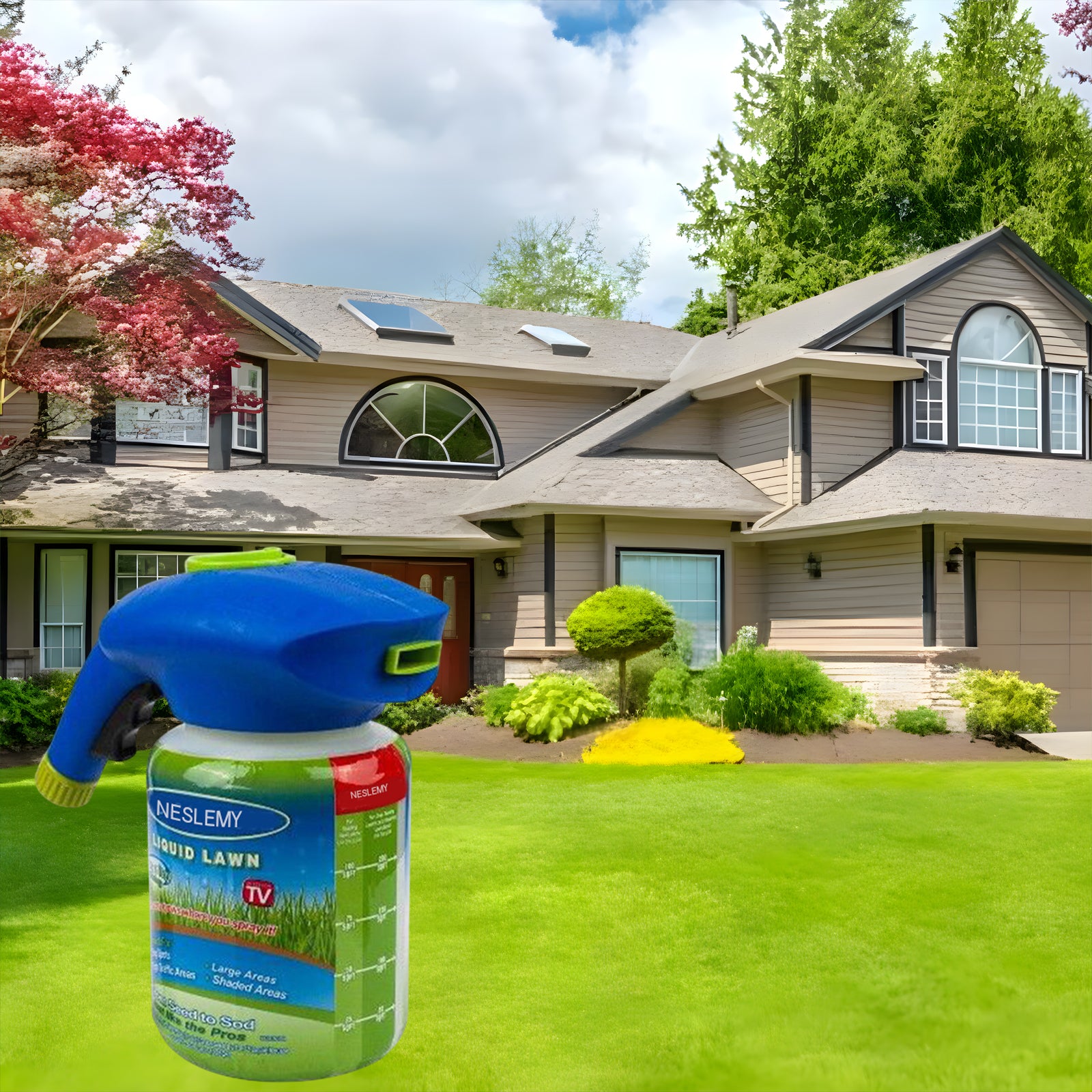 ONLY SPRAY POT