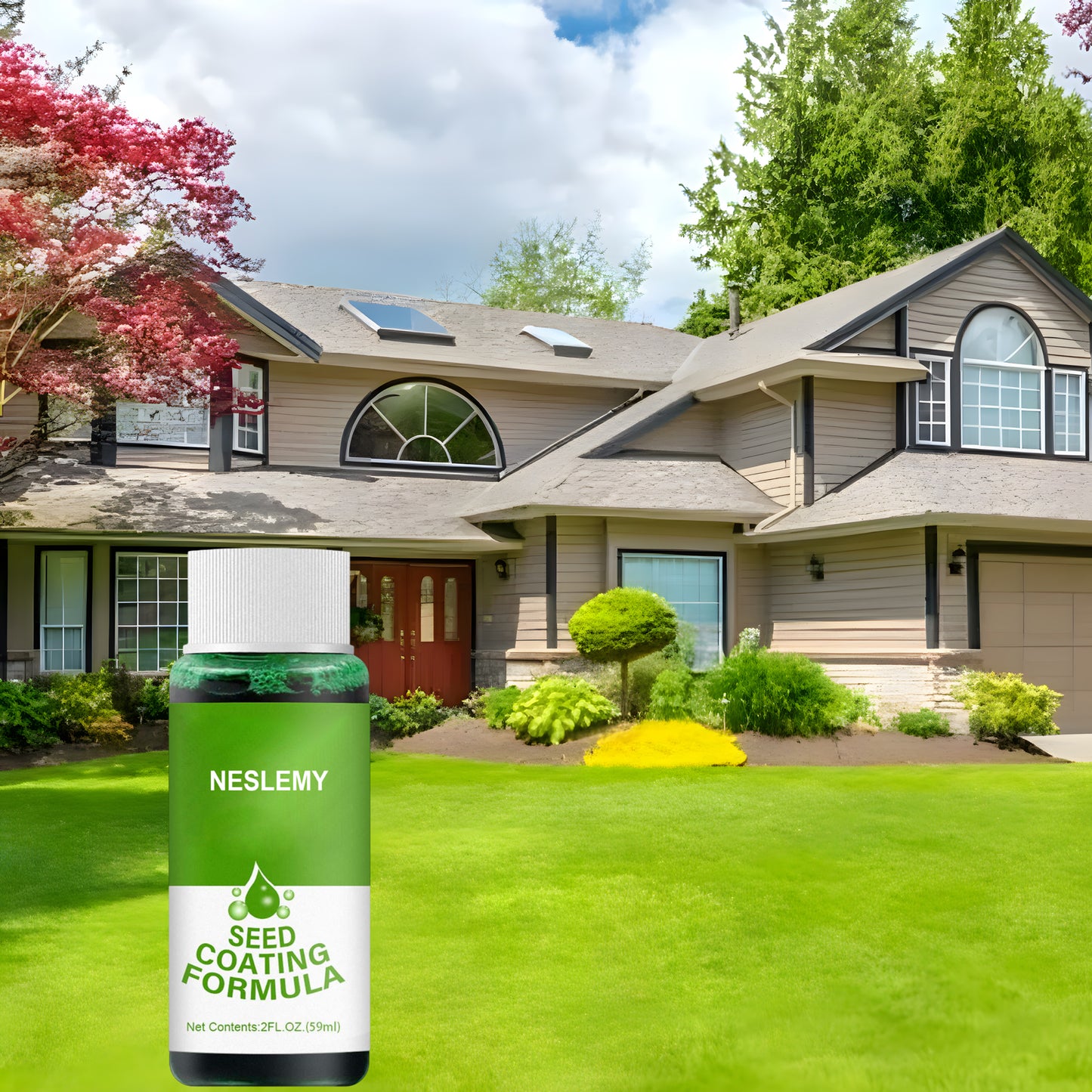 🔥Last Day Promotion🌱Hydro Seeding Lawn Solution